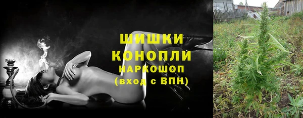 дмт Алзамай