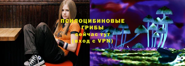Альфа ПВП Алексеевка