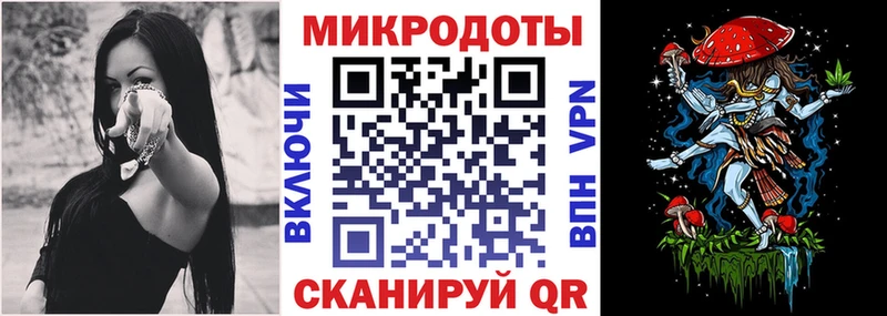 Псилоцибиновые грибы Psilocybine cubensis  Полярные Зори 